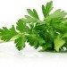 Le Persil pour nettoyer les reins et renforcer le système immunitaire